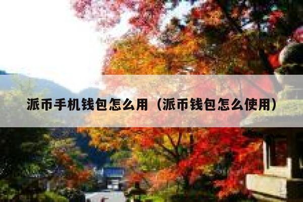 派币手机钱包怎么用（派币钱包怎么使用） 第1张
