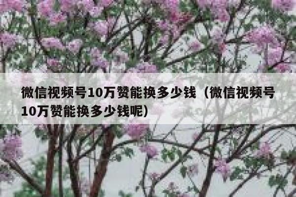 微信视频号10万赞能换多少钱（微信视频号10万赞能换多少钱呢） 第1张