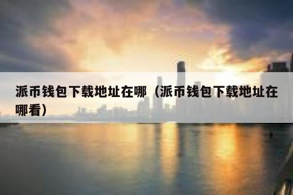 派币钱包下载地址在哪（派币钱包下载地址在哪看） 第1张