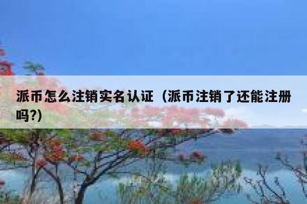 派币怎么注销实名认证（派币注销了还能注册吗?） 第1张