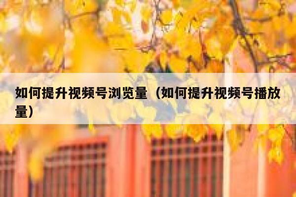 如何提升视频号浏览量（如何提升视频号播放量） 第1张