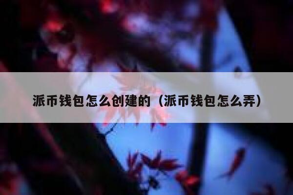 派币钱包怎么创建的（派币钱包怎么弄） 第1张