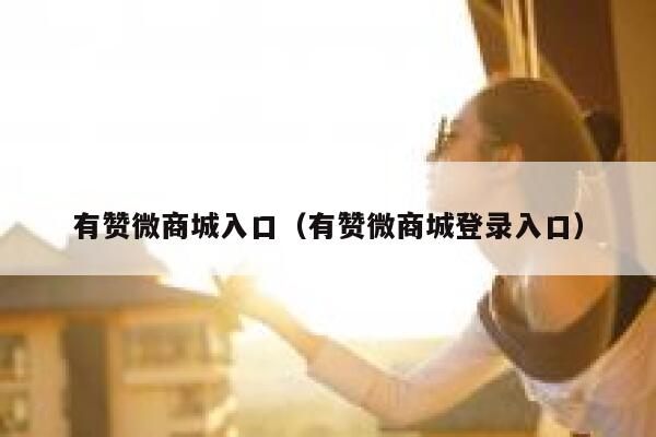 有赞微商城入口（有赞微商城登录入口） 第1张