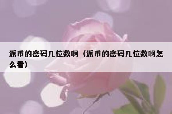 派币的密码几位数啊（派币的密码几位数啊怎么看） 第1张