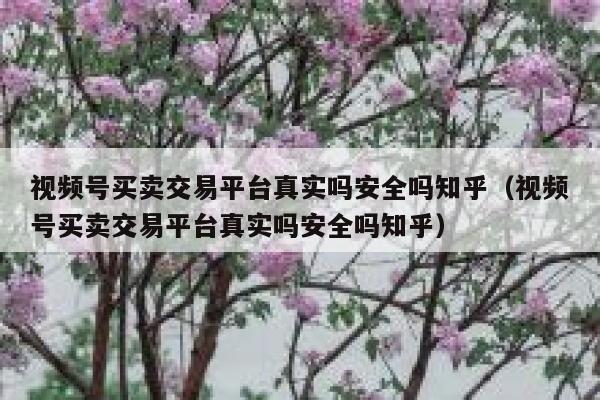 视频号买卖交易平台真实吗安全吗知乎（视频号买卖交易平台真实吗安全吗知乎） 第1张