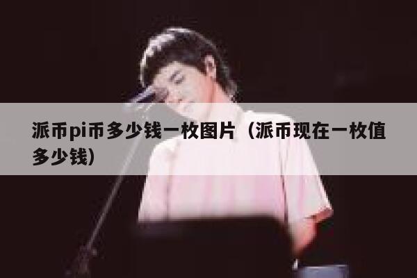 派币pi币多少钱一枚图片（派币现在一枚值多少钱） 第1张