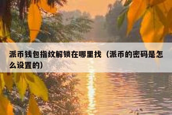派币钱包指纹解锁在哪里找（派币的密码是怎么设置的） 第1张