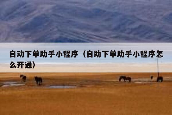 自动下单助手小程序（自助下单助手小程序怎么开通） 第1张