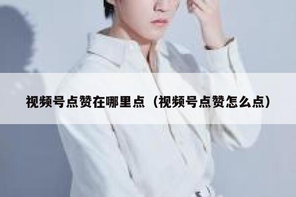 视频号点赞在哪里点（视频号点赞怎么点） 第1张