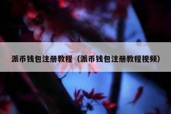 派币钱包注册教程（派币钱包注册教程视频） 第1张