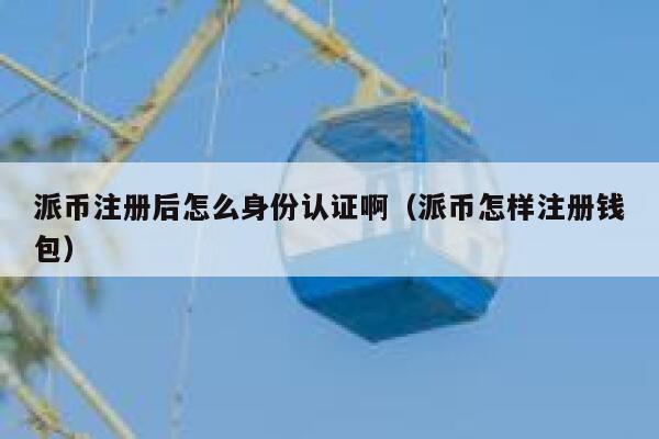 派币注册后怎么身份认证啊（派币怎样注册钱包） 第1张