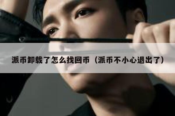 派币卸载了怎么找回币（派币不小心退出了） 第1张