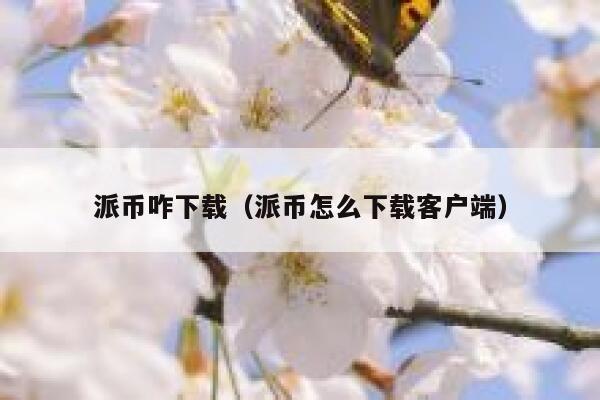 派币咋下载（派币怎么下载客户端） 第1张