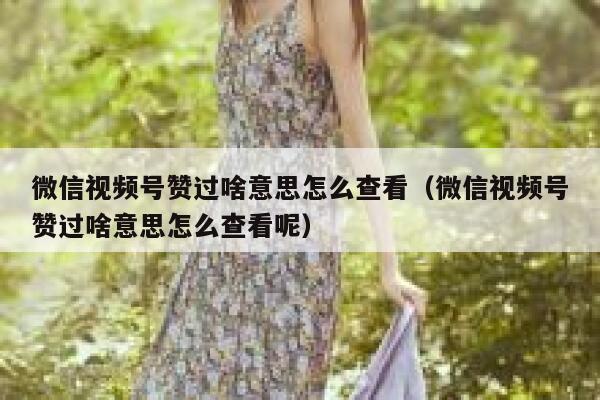 微信视频号赞过啥意思怎么查看（微信视频号赞过啥意思怎么查看呢） 第1张