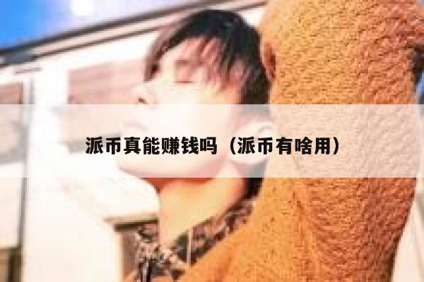 派币真能赚钱吗（派币有啥用） 第1张