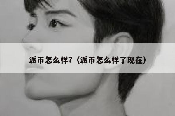 派币怎么样?（派币怎么样了现在） 第1张