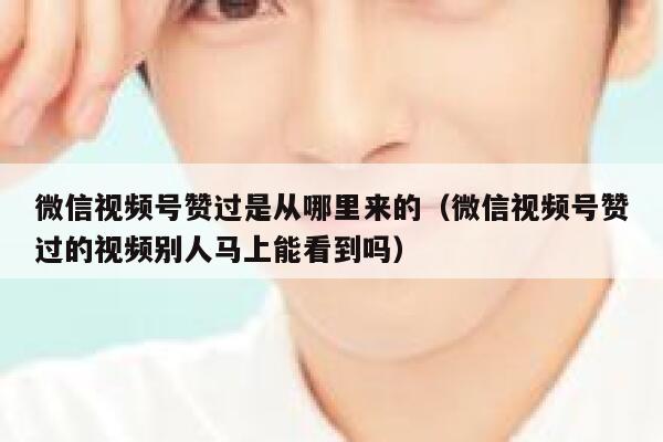 微信视频号赞过是从哪里来的(微信视频号赞过的视频别人马上能看到吗) 第1张 微信视频号赞过是从哪里来的(微信视频号赞过的视频别人马上能看到吗) 第1张