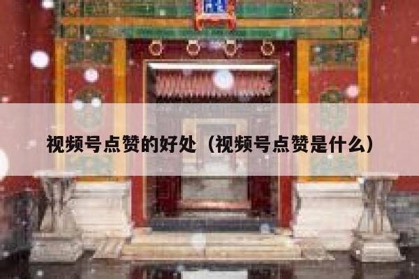 视频号点赞的好处（视频号点赞是什么） 第1张