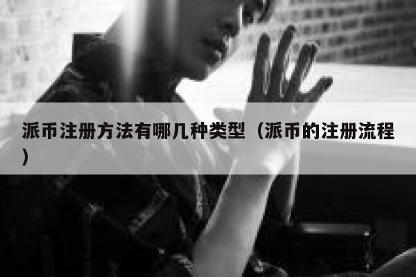 派币注册方法有哪几种类型（派币的注册流程） 第1张