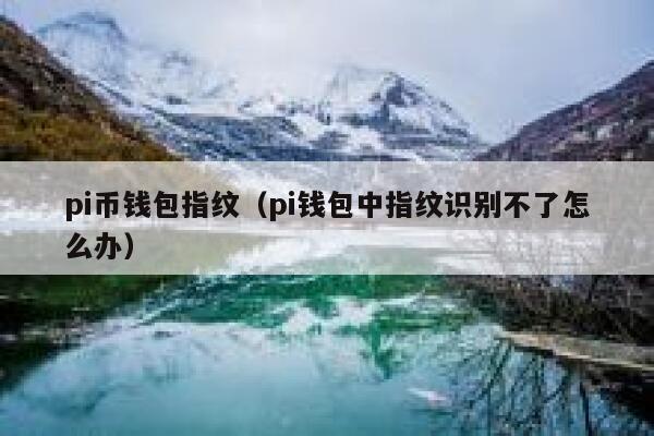 pi币钱包指纹（pi钱包中指纹识别不了怎么办） 第1张