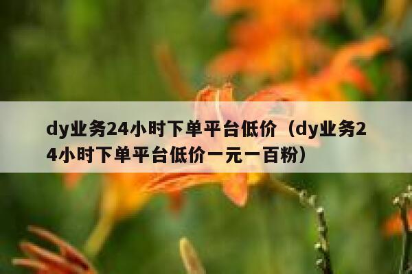 dy业务24小时下单平台低价(dy业务24小时下单平台低价一元一百粉) 第1张 dy业务24小时下单平台低价(dy业务24小时下单平台低价一元一百粉) 第1张