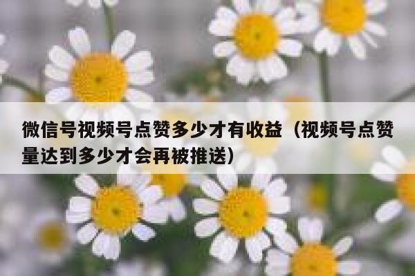 微信号视频号点赞多少才有收益（视频号点赞量达到多少才会再被推送） 第1张