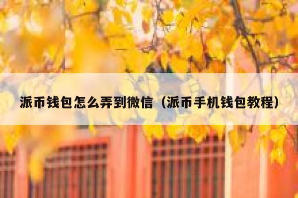派币钱包怎么弄到微信（派币手机钱包教程） 第1张