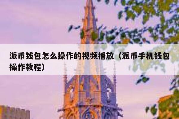 派币钱包怎么操作的视频播放（派币手机钱包操作教程） 第1张