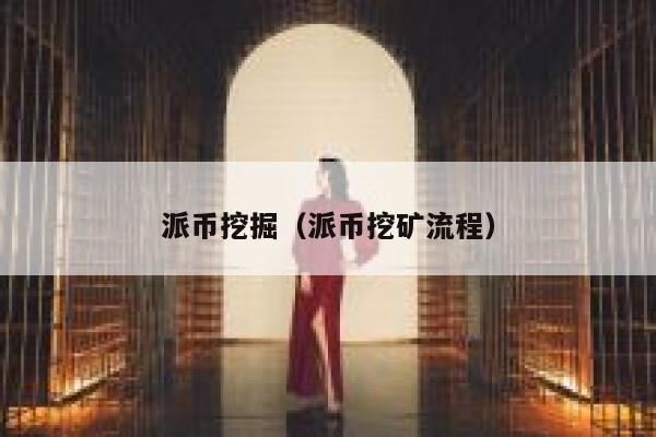 派币挖掘（派币挖矿流程） 第1张