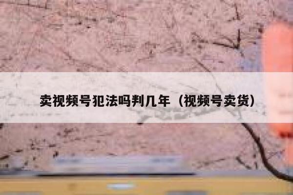 卖视频号犯法吗判几年(视频号卖货) 第1张 卖视频号犯法吗判几年(视频号卖货) 第1张