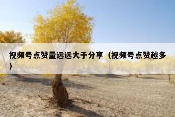 视频号点赞量远远大于分享（视频号点赞越多） 第1张