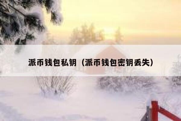 派币钱包私钥(派币钱包密钥丢失) 第1张 派币钱包私钥(派币钱包密钥丢失) 第1张