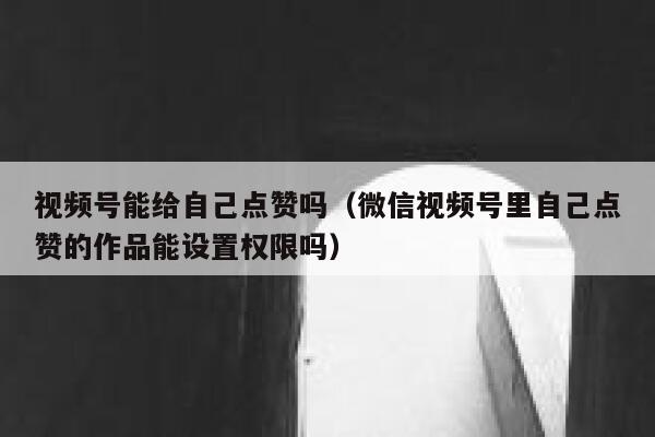 视频号能给自己点赞吗(微信视频号里自己点赞的作品能设置权限吗) 第1张 视频号能给自己点赞吗(微信视频号里自己点赞的作品能设置权限吗) 第1张