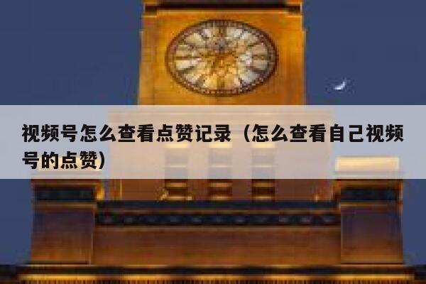视频号怎么查看点赞记录（怎么查看自己视频号的点赞） 第1张