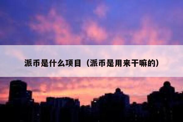 派币是什么项目（派币是用来干嘛的） 第1张