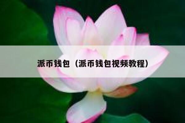 派币钱包（派币钱包视频教程） 第1张