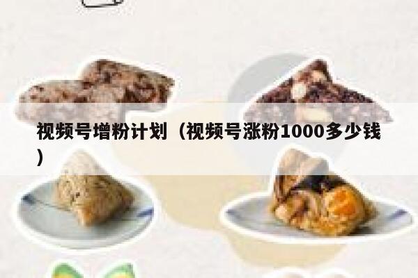 视频号增粉计划(视频号涨粉1000多少钱) 第1张 视频号增粉计划(视频号涨粉1000多少钱) 第1张