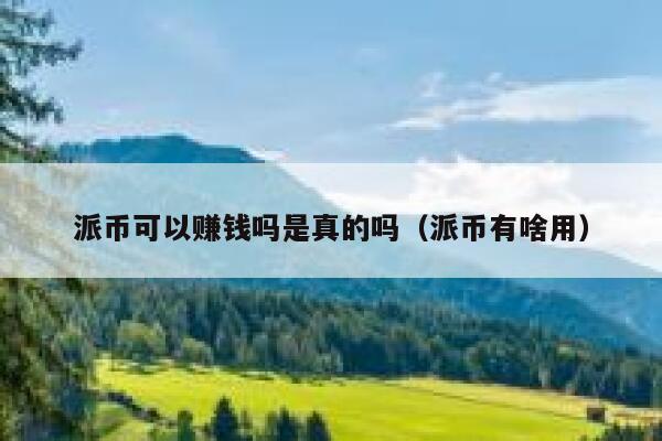 派币可以赚钱吗是真的吗(派币有啥用) 第1张 派币可以赚钱吗是真的吗(派币有啥用) 第1张