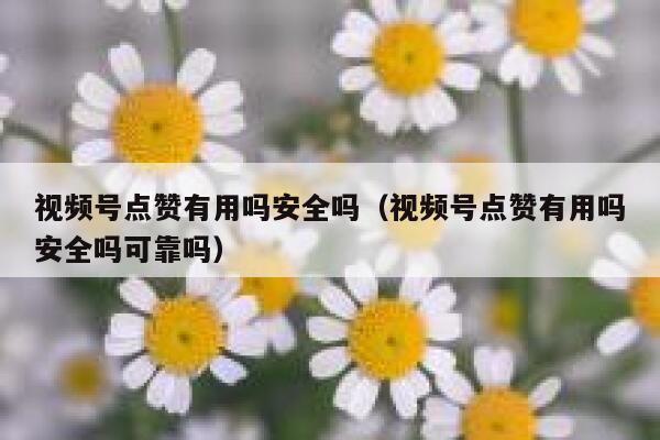 视频号点赞有用吗安全吗（视频号点赞有用吗安全吗可靠吗） 第1张