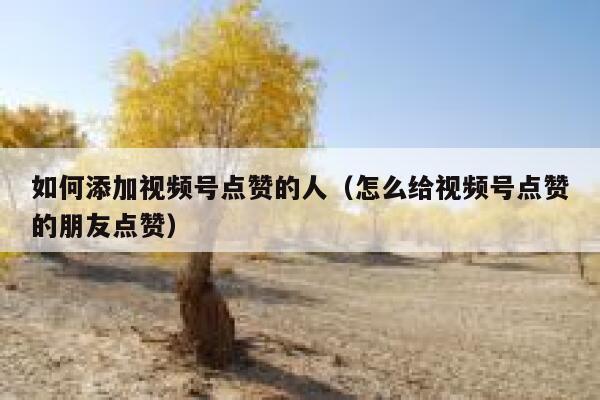 如何添加视频号点赞的人(怎么给视频号点赞的朋友点赞) 第1张 如何添加视频号点赞的人(怎么给视频号点赞的朋友点赞) 第1张