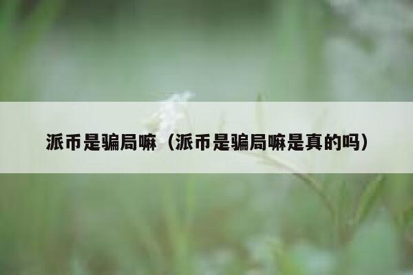 派币是骗局嘛(派币是骗局嘛是真的吗) 第1张 派币是骗局嘛(派币是骗局嘛是真的吗) 第1张