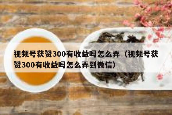视频号获赞300有收益吗怎么弄(视频号获赞300有收益吗怎么弄到微信) 第1张 视频号获赞300有收益吗怎么弄(视频号获赞300有收益吗怎么弄到微信) 第1张