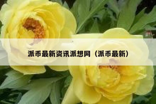 派币最新资讯派想网(派币最新) 第1张 派币最新资讯派想网(派币最新) 第1张