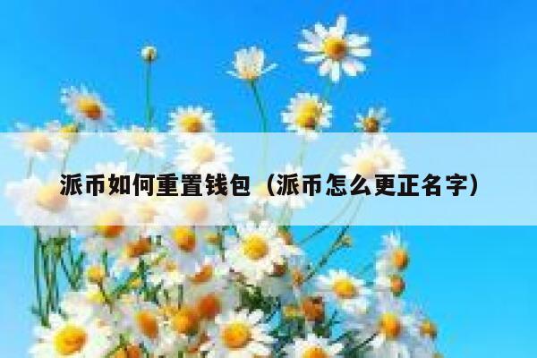 派币如何重置钱包(派币怎么更正名字) 第1张 派币如何重置钱包(派币怎么更正名字) 第1张