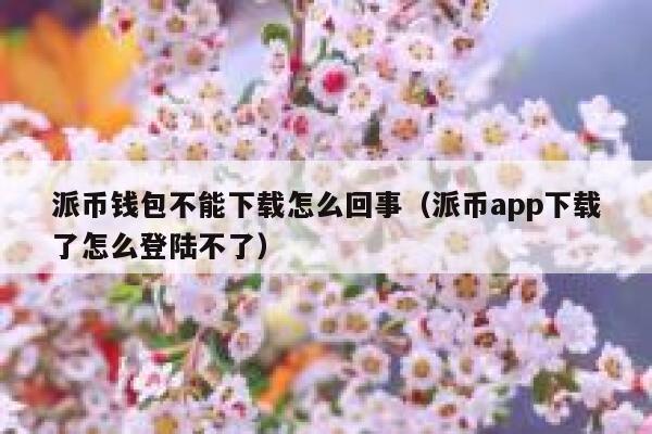 派币钱包不能下载怎么回事(派币app下载了怎么登陆不了) 第1张 派币钱包不能下载怎么回事(派币app下载了怎么登陆不了) 第1张