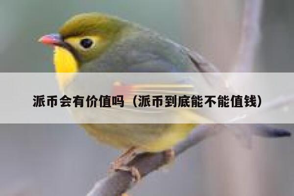 派币会有价值吗（派币到底能不能值钱） 第1张