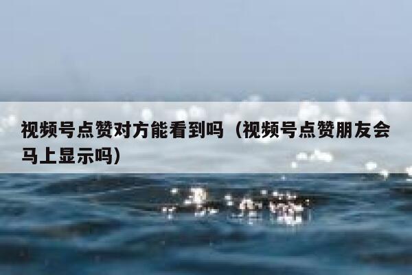 视频号点赞对方能看到吗（视频号点赞朋友会马上显示吗） 第1张