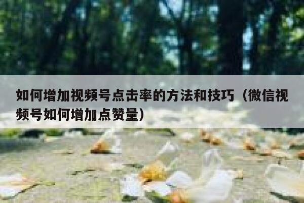 如何增加视频号点击率的方法和技巧(微信视频号如何增加点赞量) 第1张 如何增加视频号点击率的方法和技巧(微信视频号如何增加点赞量) 第1张