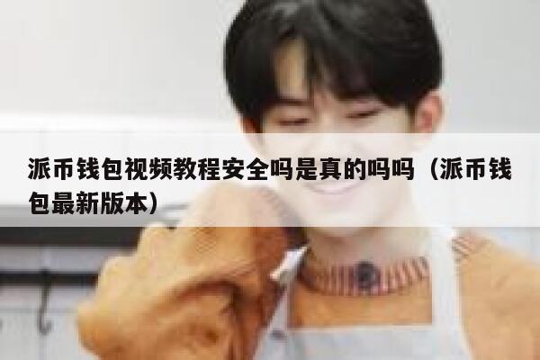 派币钱包视频教程安全吗是真的吗吗（派币钱包最新版本） 第1张