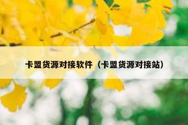 卡盟货源对接软件（卡盟货源对接站） 第1张